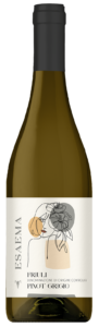 Pinot Grigio DOC Friuli