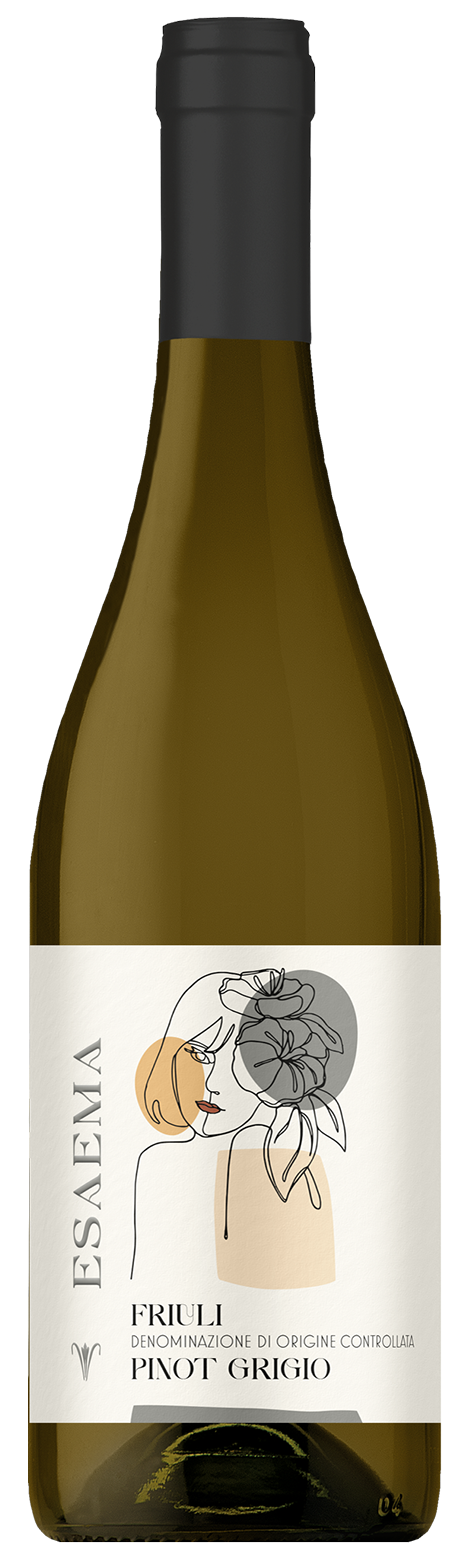 Pinot Grigio DOC Friuli